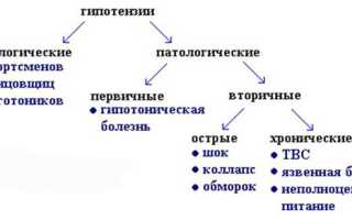 Низкое диастолическое давление — причины отклонений от нормы у мужчин и женщин, симптомы и лечение