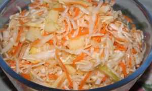Салат из свежей капусты с морковью — 11 рецептов
