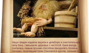 Фитотерапия — так лечились наши предки