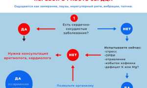 Как правильно лечить экстрасистолы сердца
