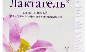 Лактагель