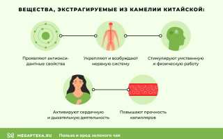 Зеленый чай: польза и вред