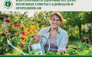 Как сохранить здоровье на даче