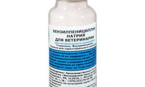 Бензилпенициллин