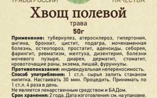 Хвощ полевой: лечебные свойства и противопоказания