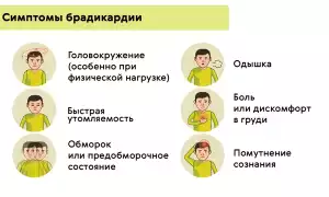 Симптомы и клинические проявления брадикардии