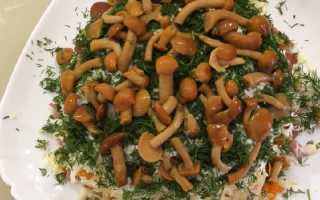 Салат с маринованными опятами — 11 очень вкусных рецептов