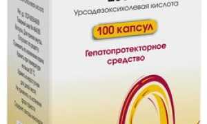 Эксхол