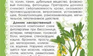 Донник: полезные свойства и противопоказания