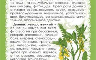 Донник: полезные свойства и противопоказания