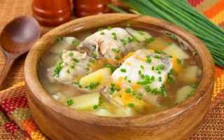 Уха из сайры консервированной