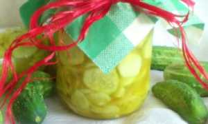 Салат из огурцов с горчицей на зиму — 4 самых вкусных рецепта