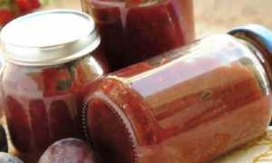 Соус из слив и помидор на зиму к мясу — получается очень вкусный