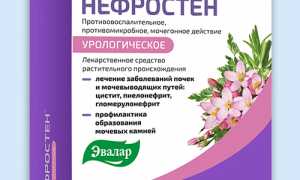 НЕФРОСТЕН