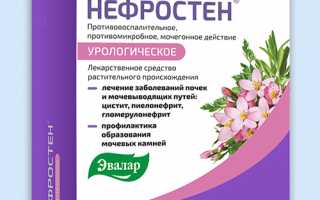 НЕФРОСТЕН