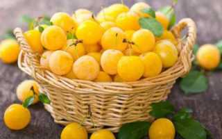 Варенье из алычи на зиму—4 вкусных рецепта