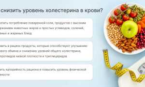 Как снизить повышенный холестерин