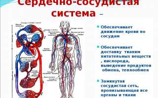 Сотагексал Соталол