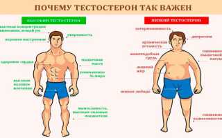 Действенные естественные способы повысить тестостерон у мужчин