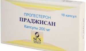 Праджисан