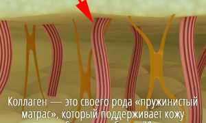 Коллаген — основа кожи