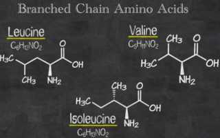 BCAA — Branched-Chain Amino Acids