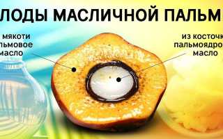Что такое Пальмовое масло