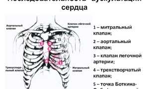 Актуальность и способ проведения аускультации сердца