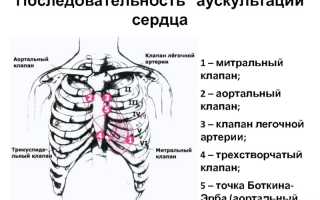 Актуальность и способ проведения аускультации сердца
