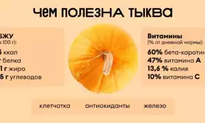 Тыква: польза и вред