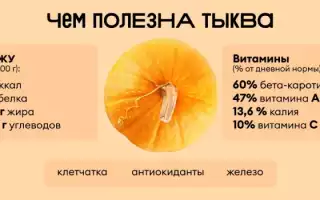 Тыква: польза и вред