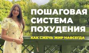 Похудеть без спорта? Это реально, благодаря программе похудения от Анны Савиной