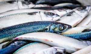 Продукты, содержащие йод: вкусно, полезно, необходимо