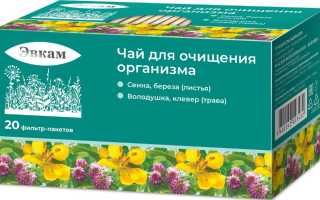 Чай для очищения организма — 10 лучших