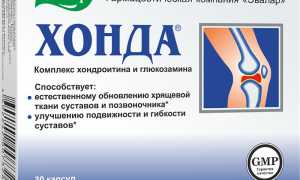 Хонда Эвалар