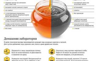 Мёд: польза и вред