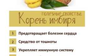 Полезные свойства имбиря