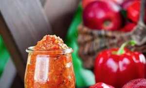 Абхазская аджика — рецепты самой вкусной домашней аджики