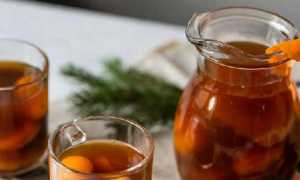 Компот из чернослива и кураги — 5 полезных рецепта