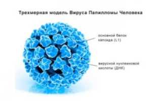 Таблетки от ВПЧ: эффективные лекарства от папиллом