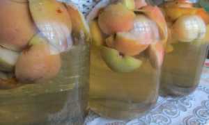 Компот из яблок и груш на зиму: 4 простых рецепта