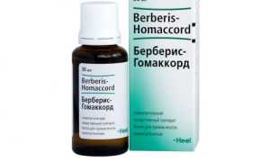 Берберис-Гомаккорд