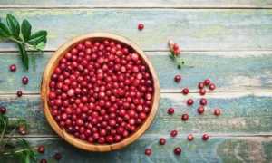 Брусника с сахаром на зиму — 6 рецептов