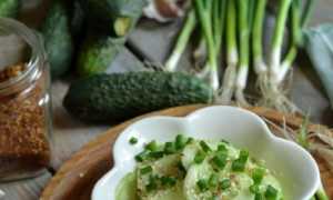 Огурцы по-корейски быстрого приготовления — 6 самых вкусных рецептов