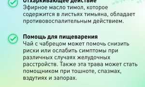 Чабрец: полезные свойства и противопоказания