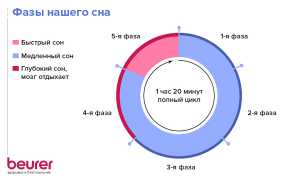 Фазы сна — почему это так важно