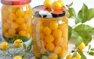 Компот из алычи на зиму: 6 самых вкусных  рецепта