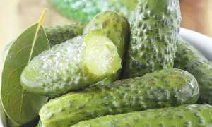 Малосольные огурцы в кастрюле быстрого приготовления