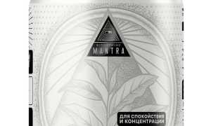 Теанин — аминокислота ноотропного действия