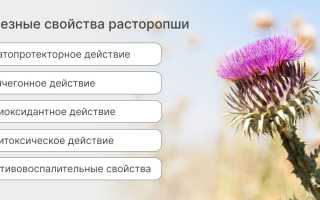 Расторопша: полезные свойства и противопоказания